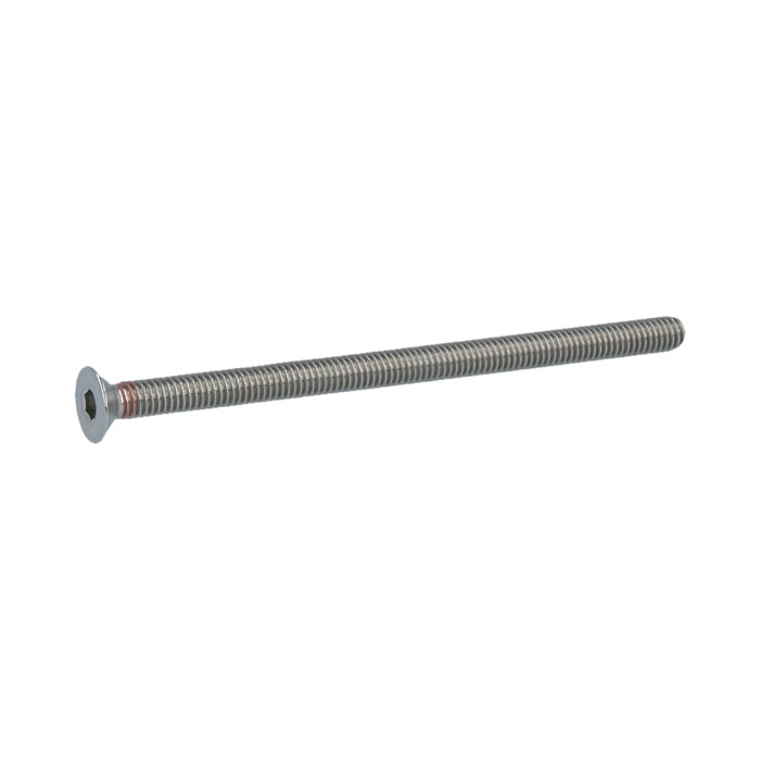 Screw with hexagon socket M6, stainless steel