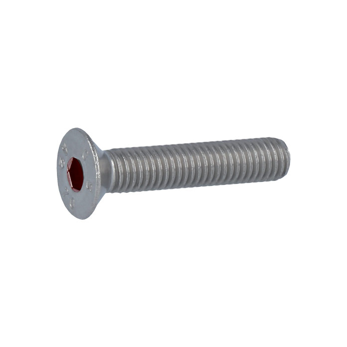 Screw with hexagon socket M6, galvanised