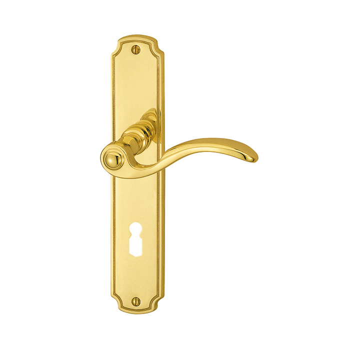 Rica long plate fitting BB polished brass