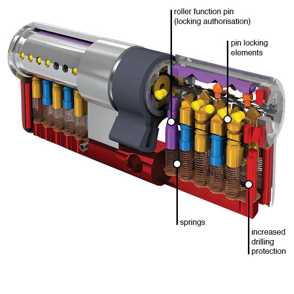 DOM ix Saturn cylinder cross section